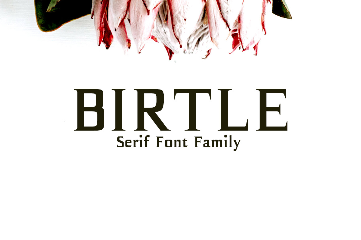 Birtle: A Modern Serif Font for Editorial Design