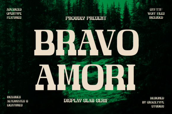 Bravo Amori: A Font That Transformed My Brand’s Visual Identity