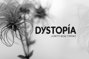 Designing with Dystopia Typeface for a Modern Editorial Feel