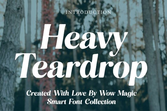 Heavy Teardrop: A Bold Serif Font for Branding Projects
