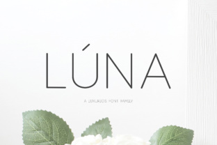Lúna: A Modern Sans Serif Font for Your Brand