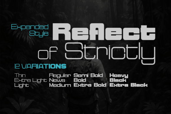 Reflect of Strictly Expanded: A Modern Sans Serif Font for Digital Design