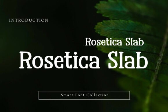 Rosetica Slab: A Bold Typeface for Branding That Stands Out
