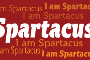 Spartacus Family Slab Serif for Web Design